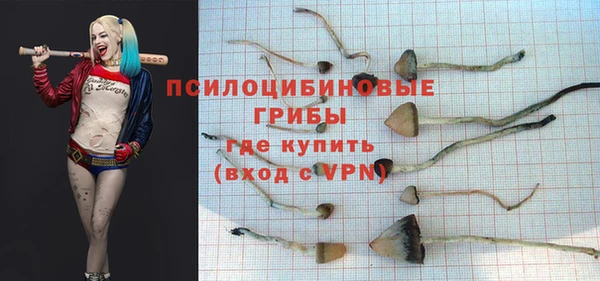 кокс Анива