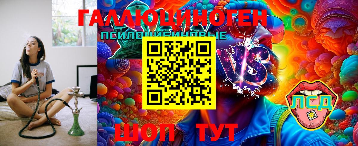 Галлюциногенные грибы мицелий  Псилоцибиновые грибы GOLDEN TEACHER  Вход с VPN  Михайловка 