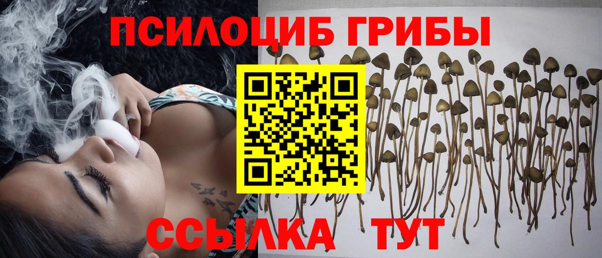 Псилоцибиновые грибы Magic Shrooms Михайловка